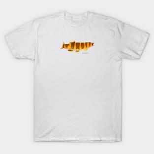 Kuhli Loach Fish T-Shirt